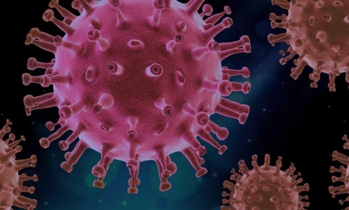 Embarek: Izvještaj o porijeklu koronavirusa spreman za objavu naredne sedmice